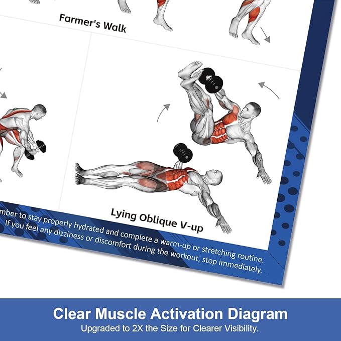 Dumbbell Workout Poster Set (2 Pack) - Workout Charts for Home Gym, Volume I & II - 18" x 24" with Enlarged Dumbbell Exercise Illustrations
