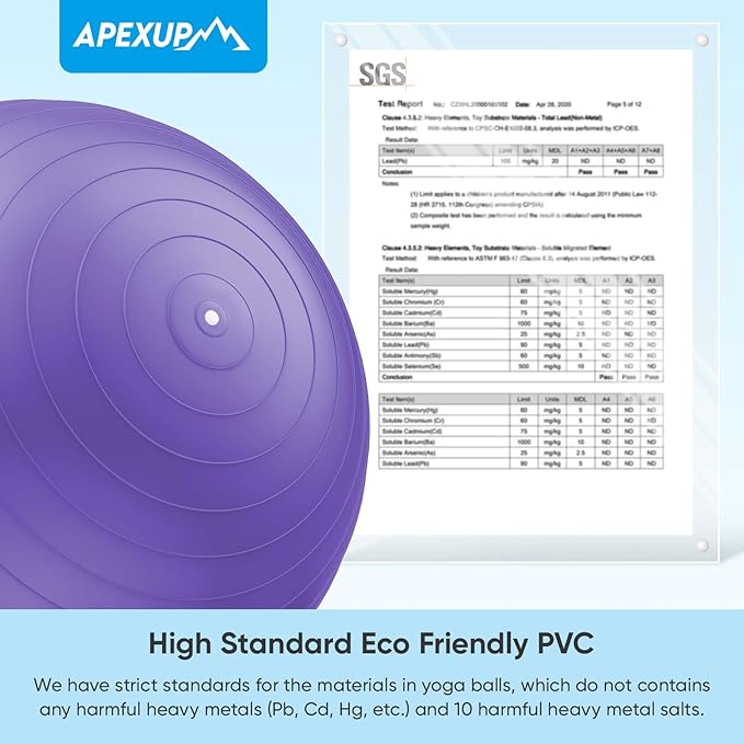 APEXUP Yoga & Pilates Ball - Anti Slip Heavy Duty Gym Ball for Fitness, Balance & Core Workout