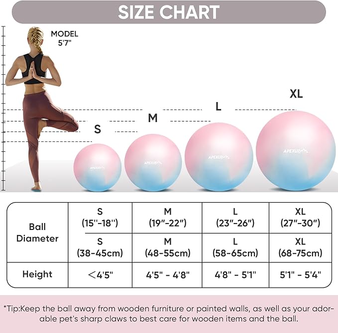 APEXUP Yoga & Pilates Ball - Anti Slip Heavy Duty Gym Ball for Fitness, Balance & Core Workout