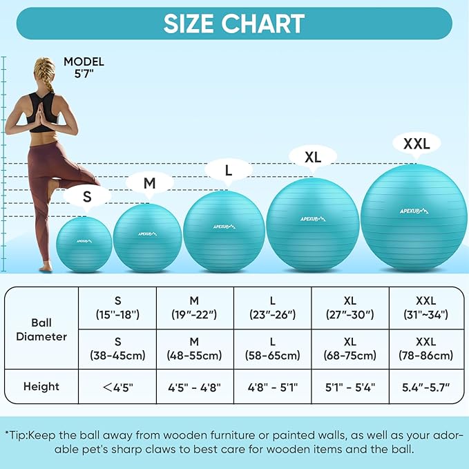 APEXUP Yoga & Pilates Ball - Anti Slip Heavy Duty Gym Ball for Fitness, Balance & Core Workout