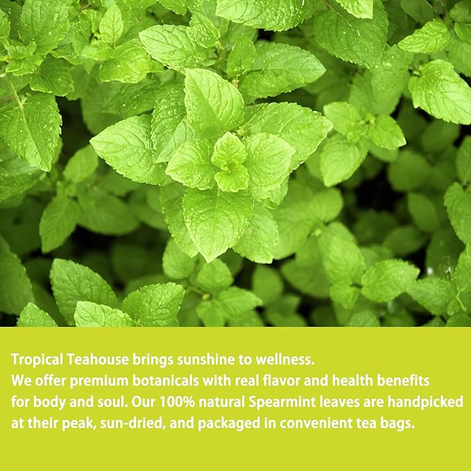 Samcci - Spearmint Tea Bags, 40 Teabags, 1.5g/bag - Pure Spearmint Leaves - Non-GMO - Caffeine-free Herbal Tea - Hormone Balance & Support Digestion & Natural Breath Freshener