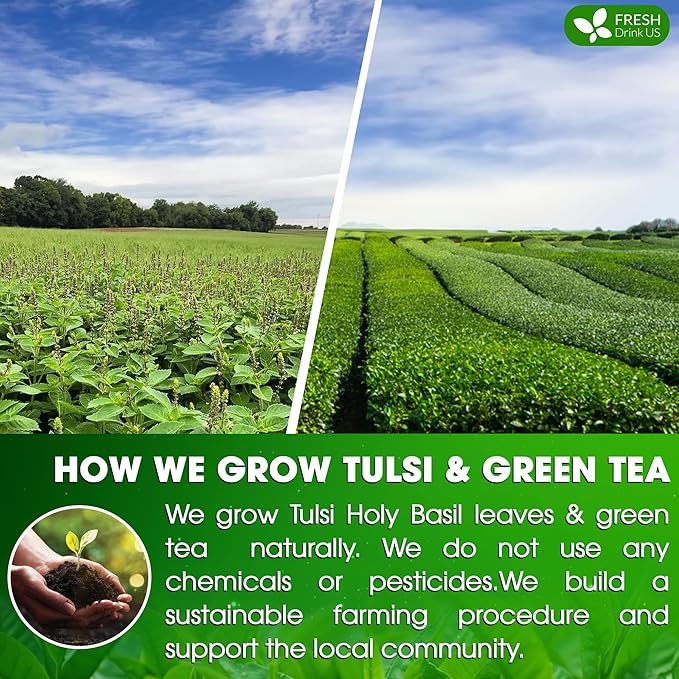 FreshDrinkUS, Premium 55 Tulsi Green Tea Bags, 100% Natural, Blend of Tulsi Holy Basil Leaves, and Green Tea Leaves. Made with Natural Material Tea Bags. No Sugar, Vegan.