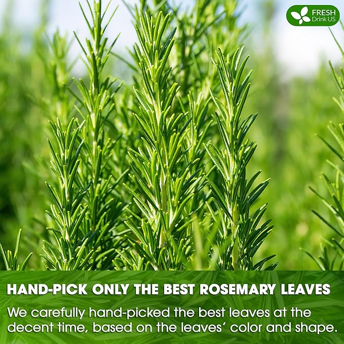 FreshDrinkUS, Premium 40 Rosemary Leaf Tea Bags, 100% Natural and Pure Rosemary Dried Leaves, Pure Rosemary Herbal Tea, No Additives, No Caffeine, No Gluten, Vegan.