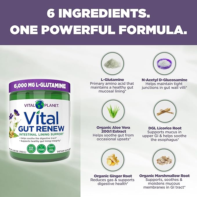 Vital Planet - Vital Gut Renew Powder Supplement for Leaky Gut Repair with L-Glutamine, Marshmallow and Ginger Root, DGL Licorice Root and Organic Aloe Vera, L Glutamine 6000mg 6.88 oz
