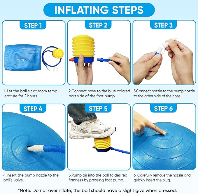 APEXUP Yoga & Pilates Ball - Anti Slip Heavy Duty Gym Ball for Fitness, Balance & Core Workout