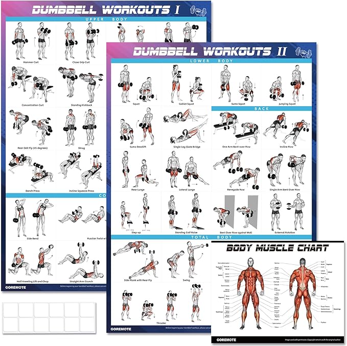 Dumbbell Workout Poster Set (2 Pack) - Workout Charts for Home Gym, Volume I & II - 18" x 24" with Enlarged Dumbbell Exercise Illustrations