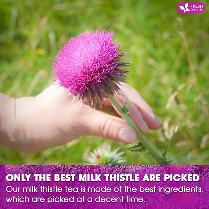 FreshDrinkUS, Premium 135 Milk Thistle Tea Bags, 100% Natural & Pure from Milk Thistle Seeds. Milk Thistle Seed Herbal Tea. Made with Natural Material Tea Bags. No Sugar, No Caffeine, No Gluten, Vegan.