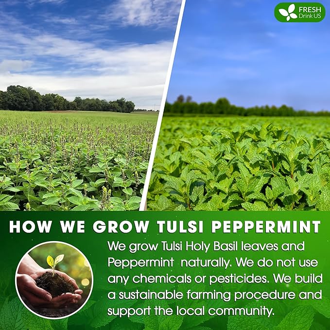 FreshDrinkUS, Premium Tulsi Peppermint Herbal Tea – 55 Tea Bags, 100% Natural, Blend of Tulsi Holy Basil Leaves, and Peppermint Leaves. Made with Natural Material Tea Bags. No Sugar, Vegan.
