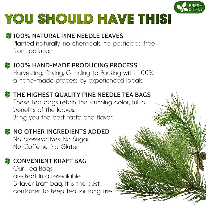 FreshDrinkUS, Pine Needle Tea Bags – 75 Tea Bags, Naturally Caffeine-Free, Refreshing Herbal Tea, Wild-Harvested Pine Leaves, Aromatic and Soothing – Non-GMO & Eco-Friendly Packaging