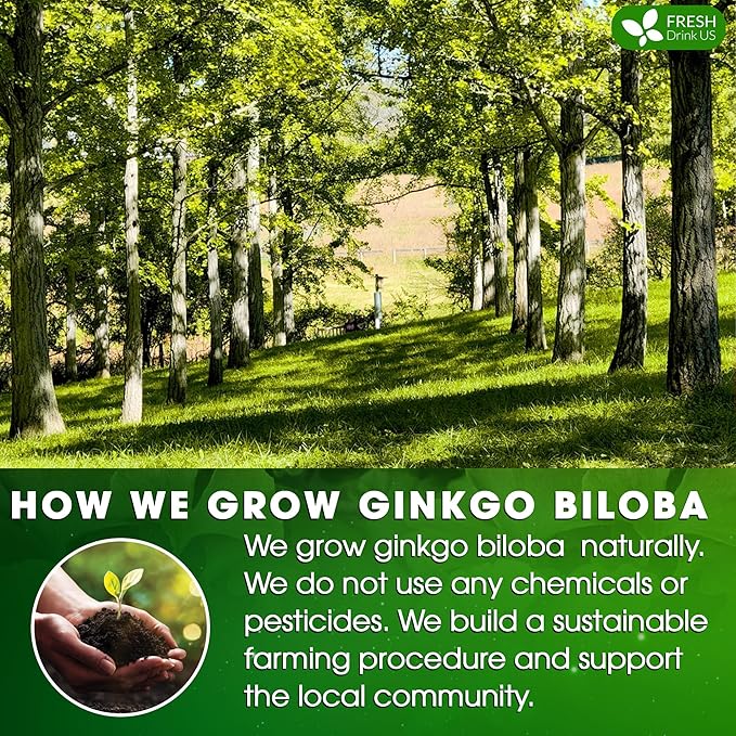 FreshDrinkUS, Premium 135 Ginkgo Biloba Leaf Tea Bags, 100% Natural & Pure from Ginkgo Biloba Leaves. Loose Leaf Herbal Tea. Made with Eco-Conscious Tea Bags. No Sugar, No Caffeine, No Gluten, Vegan.