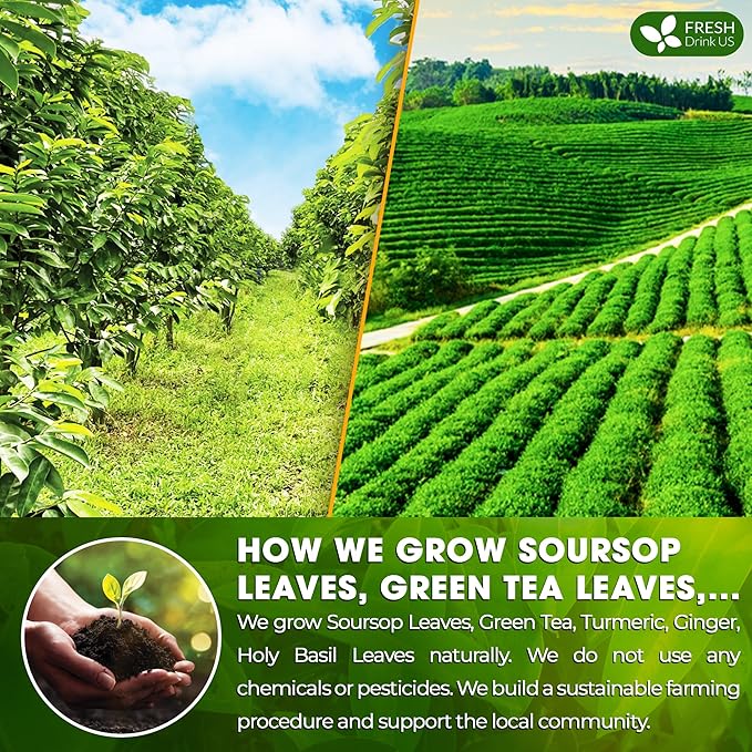 FreshDrinkUS, Premium 40 Tea Bags Soursop Green Tea, 100% Natural & Proprietary Blend from Soursop Leaves and Green Tea. Smooth Flavor. Made with Eco-Conscious Tea Bags. No Additives No Sugar, Vegan.