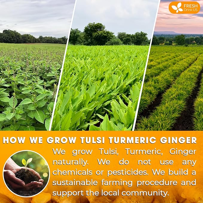 FreshDrinkUS, Premium 35 Tulsi Turmeric Ginger Tea Bags, 100% Natural & Pure from Tulsi Holy Basil Leaves, Turmeric and Ginger. Made with Natural Material Tea Bags. No Sugar, No Caffeine, Vegan.