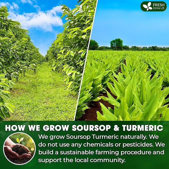 FreshDrinkUS, Premium 60 Soursop Turmeric Tea Bags, 100% Natural, Blend of Soursop Leaves, and Turmeric Root. Made with Natural Material Tea Bags. No Sugar, Vegan.